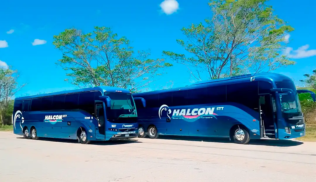 Turismo